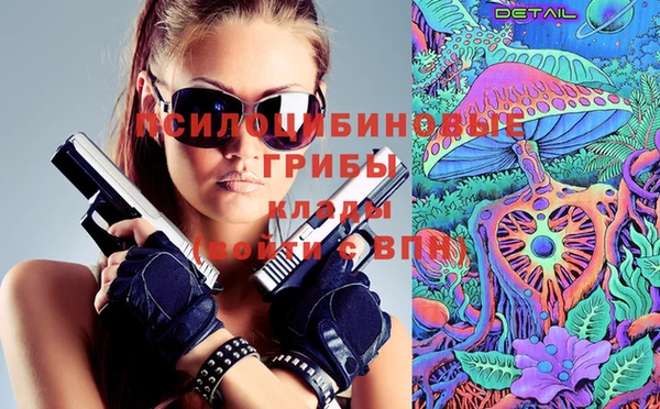 apvp Магадан