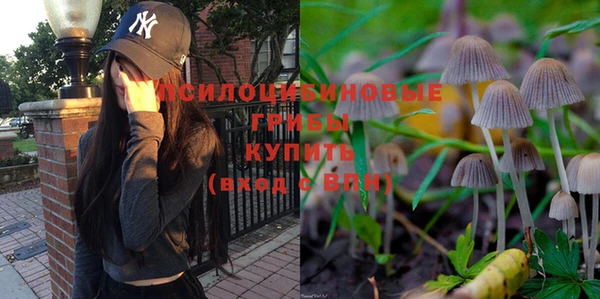 амфетамин Лабытнанги