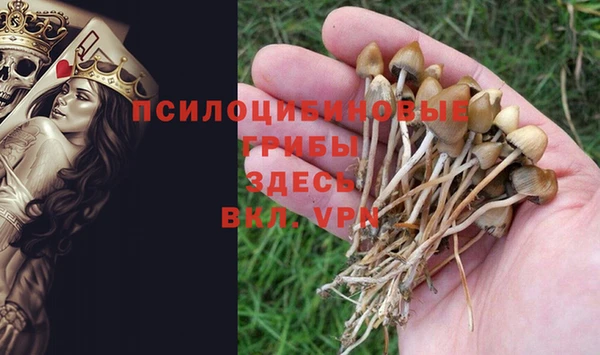 скорость Лагань