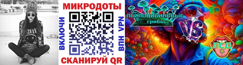 Псилоцибиновые грибы MAGIC MUSHROOMS  Купить где  Кодинск 